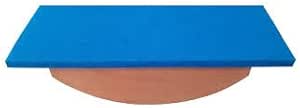 Balance Board from  for physical therapy training