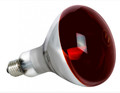 Infrared Lamp Red-infrared bulb (physiotherapy)